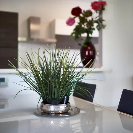 Your Familyapartment In Apartment